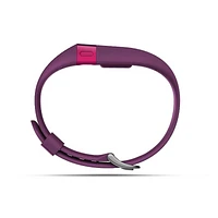 Fitbit FB405PML Charge HR Wireless Activity Wristband, Plum, Large | Electronic Express