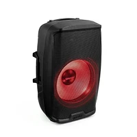 Demini 15 Inch 2000 Watt Multi-LED Loudspeaker with Stand | Electronic Express