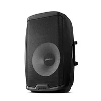 Demini 15 Inch 2000 Watt Multi-LED Loudspeaker with Stand | Electronic Express