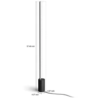 Hue Gradient Signe Floor Lamp - Black | Electronic Express