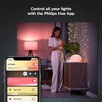 Philips Hue Smart Plug- 552349 | Electronic Express