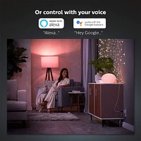 Philips Hue Smart Plug- 552349 | Electronic Express