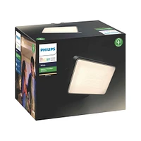 Philips Hue Welcome Outdoor Floodlight | Electronic Express