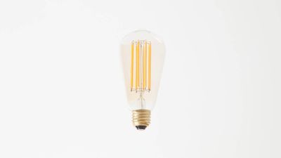 Squirrel Cage LED Bulb