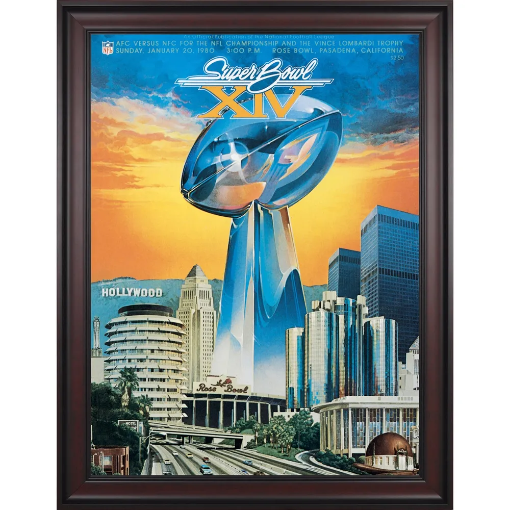 Pittsburgh Steelers Fanatics Authentic Framed Super Bowl Replica