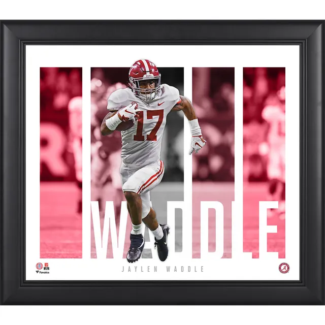 Jaylen Waddle Miami Dolphins Fanatics Authentic Framed 15'' x 17