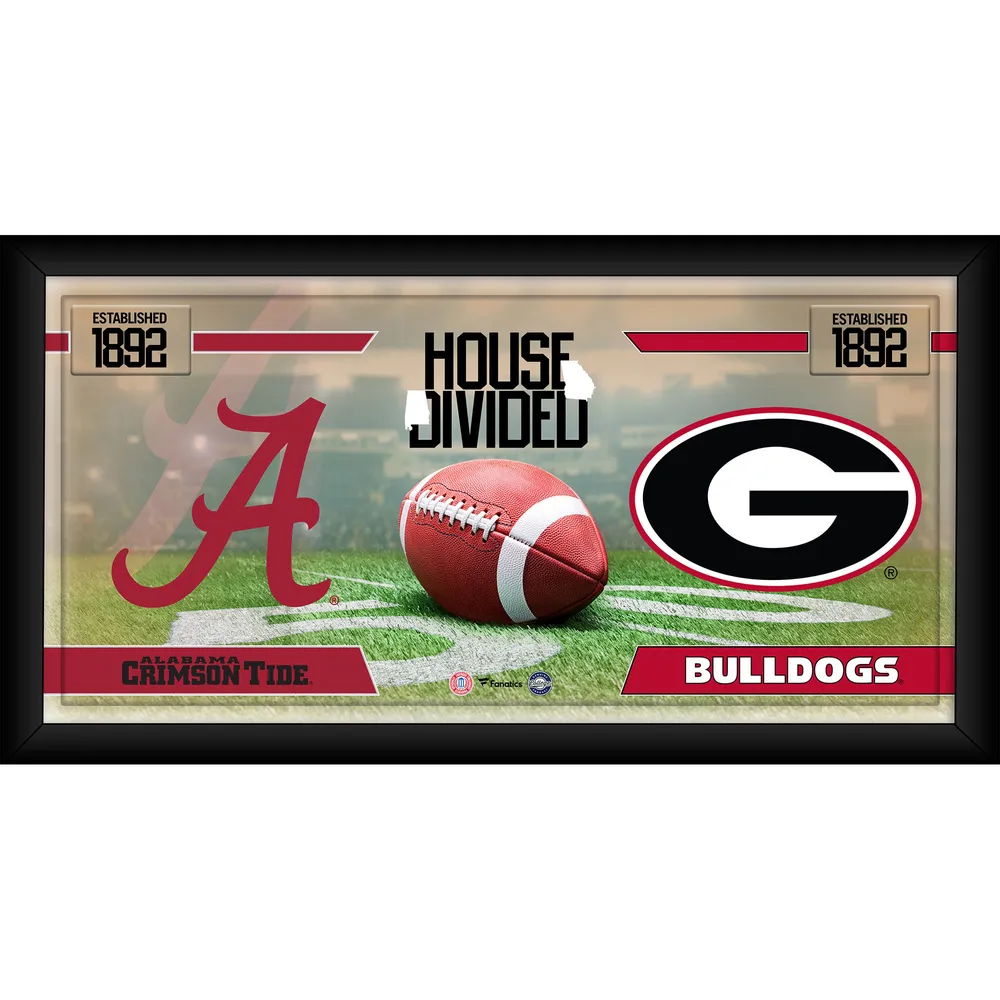 Atlanta Falcons vs. Carolina Panthers Framed 10 x 20 House Divided  Football Collage