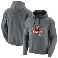 Men's Charcoal Albany FireWolves Solid Blend Pullover Hoodie