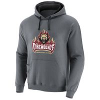 Men's Charcoal Albany FireWolves Solid Blend Pullover Hoodie