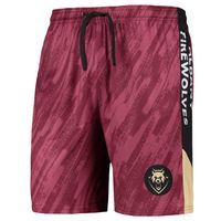 Men's FOCO Maroon Albany FireWolves Static Mesh Shorts