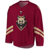 Men's Maroon Albany FireWolves Sublimated Replica Jersey