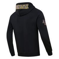 Men's Pro Standard Black Alcorn State Braves University Classic Pullover Hoodie