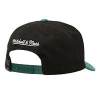 Men's Mitchell & Ness Black Anaheim Ducks May Flowers Pro Crown Snapback Hat
