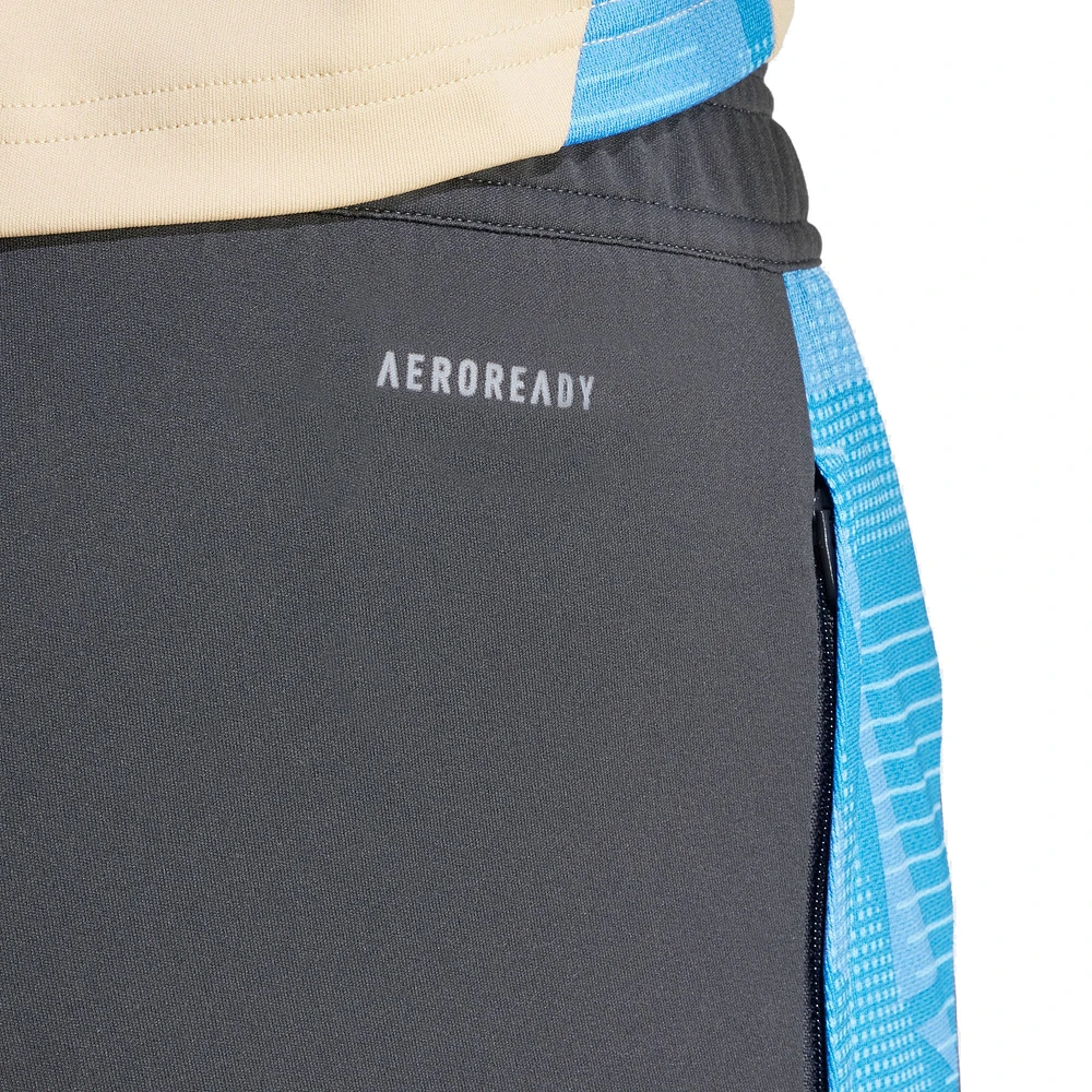 Pantalon d'entraînement adidas gris AEROREADY de l'équipe nationale argentine 2024 pour homme