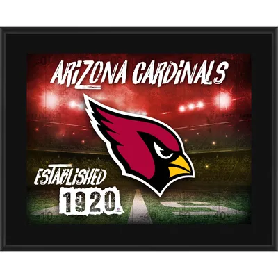 Arizona Diamondbacks Fanatics Authentic Framed 10.5 x 13 Sublimated  Horizontal Team Logo Plaque