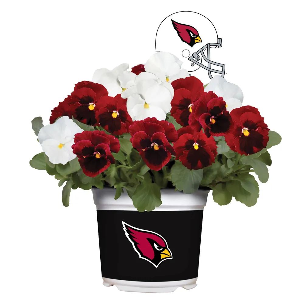 Arizona Cardinals Inflatable Centerpiece