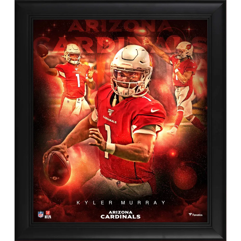 Lids DeAndre Hopkins Arizona Cardinals Fanatics Authentic Framed 15 x 17  Player Panel Collage