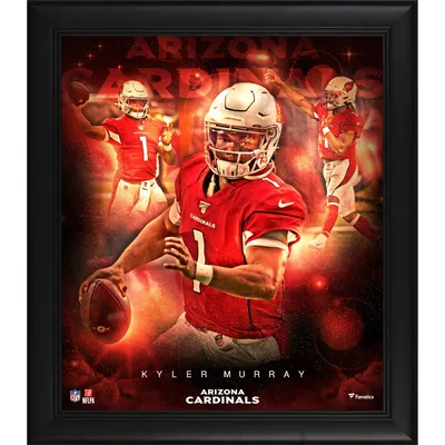 Arizona Cardinal Fanatics Authentic Apparel, Cardinals Fanatics Authentic  Clothing, Merchandise