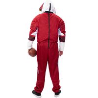 Men's Cardinal Arizona Cardinals Game Day Costume