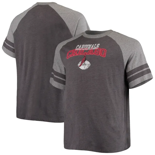 Fanatics Men's Big and Tall Heathered Gray Atlanta Falcons Practice Long Sleeve T-Shirt Heather Gray