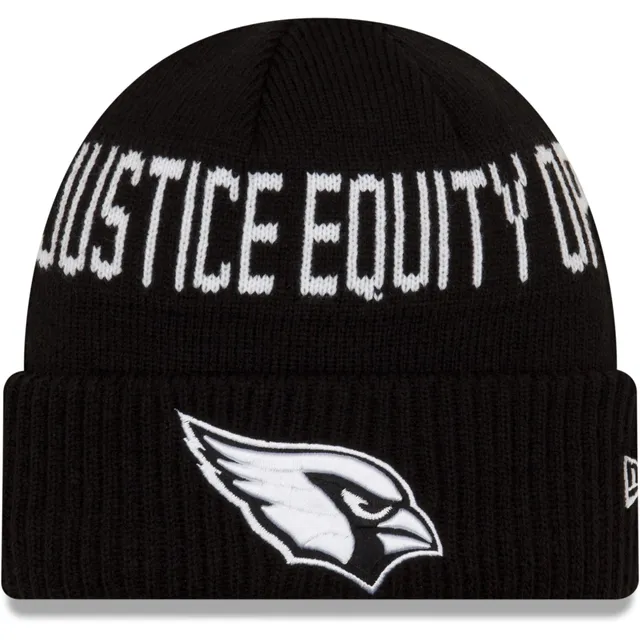 Official Philadelphia Eagles Beanies, Eagles Knit Hats, Winter Hats, Skull  Caps