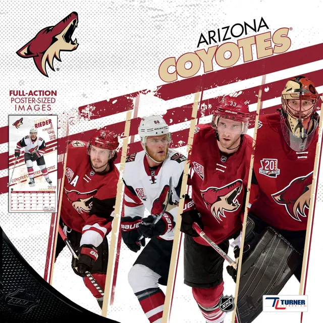 Arizona Cardinals 2023 12 x 12 Team Wall Calendar