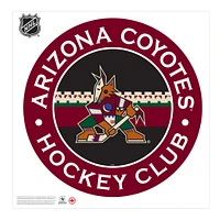 Arizona Coyotes - 36'' x 36'' Team Repositional Stripe Design Vinyl Wall Decal