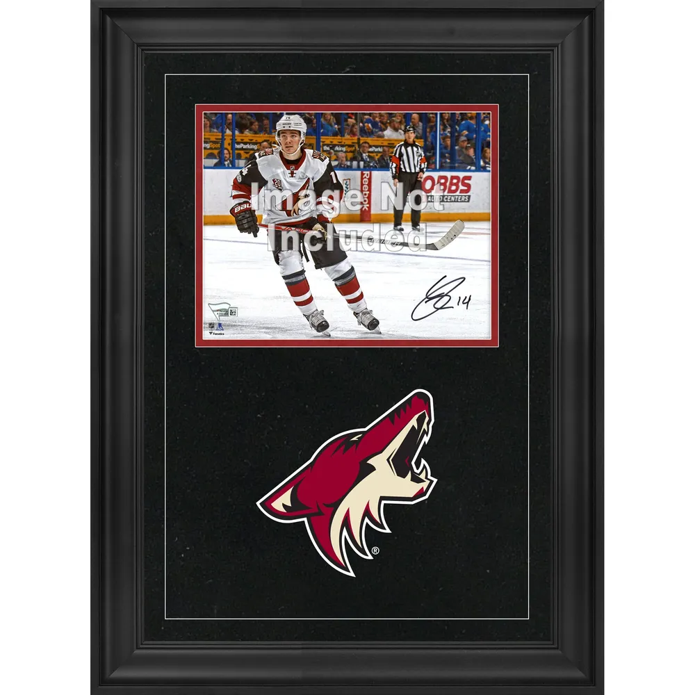 Arizona Diamondbacks Fanatics Authentic Black Framed Logo