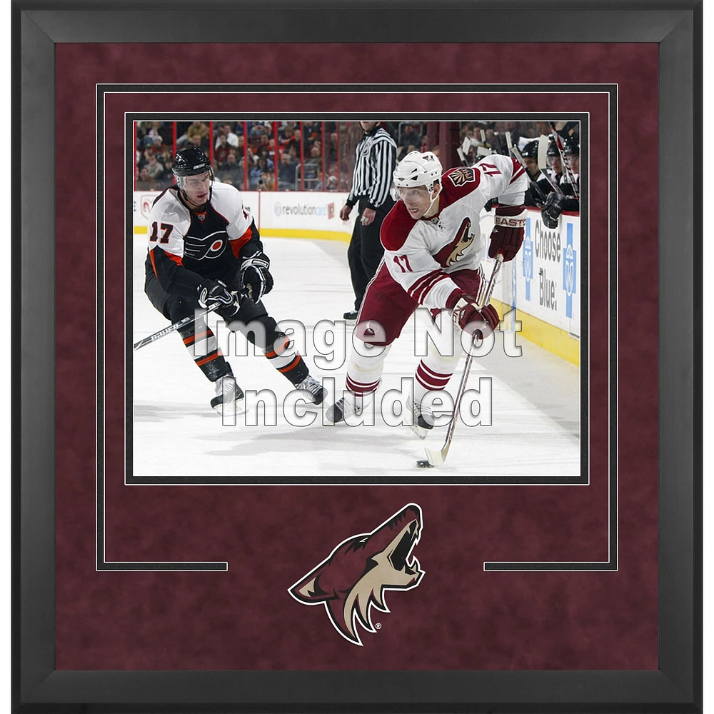Arizona Coyotes Deluxe 16" x 20" Horizontal Photograph Frame