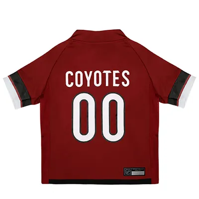 Lids Arizona Coyotes Fanatics Authentic Unsigned 2020-21 25th