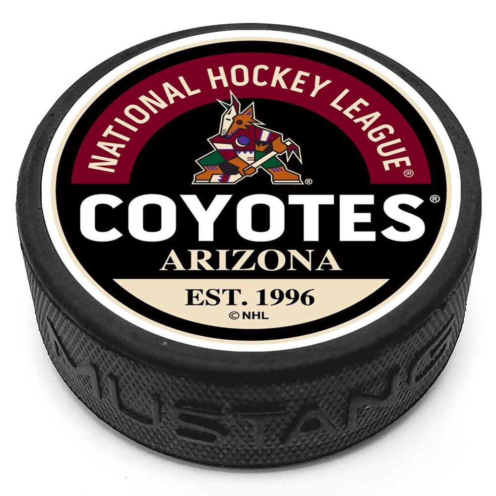 Arizona Coyotes - Textured Block Logo Puck