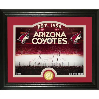 Arizona Coyotes Highland Mint 13" x 16" Rink Bronze Coin Photo Mint