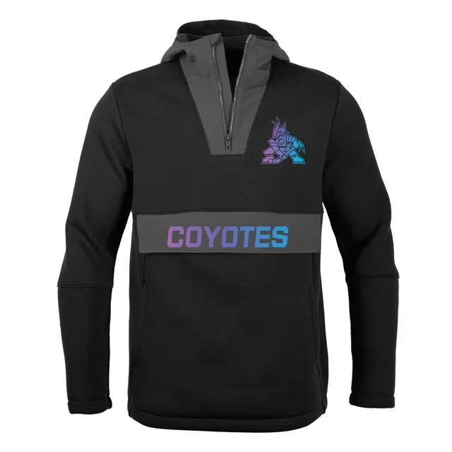 Lids Arizona Coyotes Fanatics Branded Team Pride Logo Long Sleeve