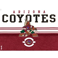 Tervis  Arizona Coyotes 24oz. Core Classic Tumbler