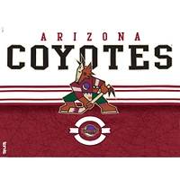 Tervis  Arizona Coyotes 24oz. Core Classic Tumbler