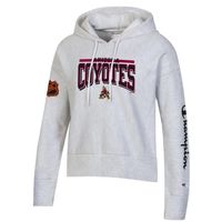 Women's Champion Heathered Gray Arizona Coyotes Reverse Weave Pullover Hoodie