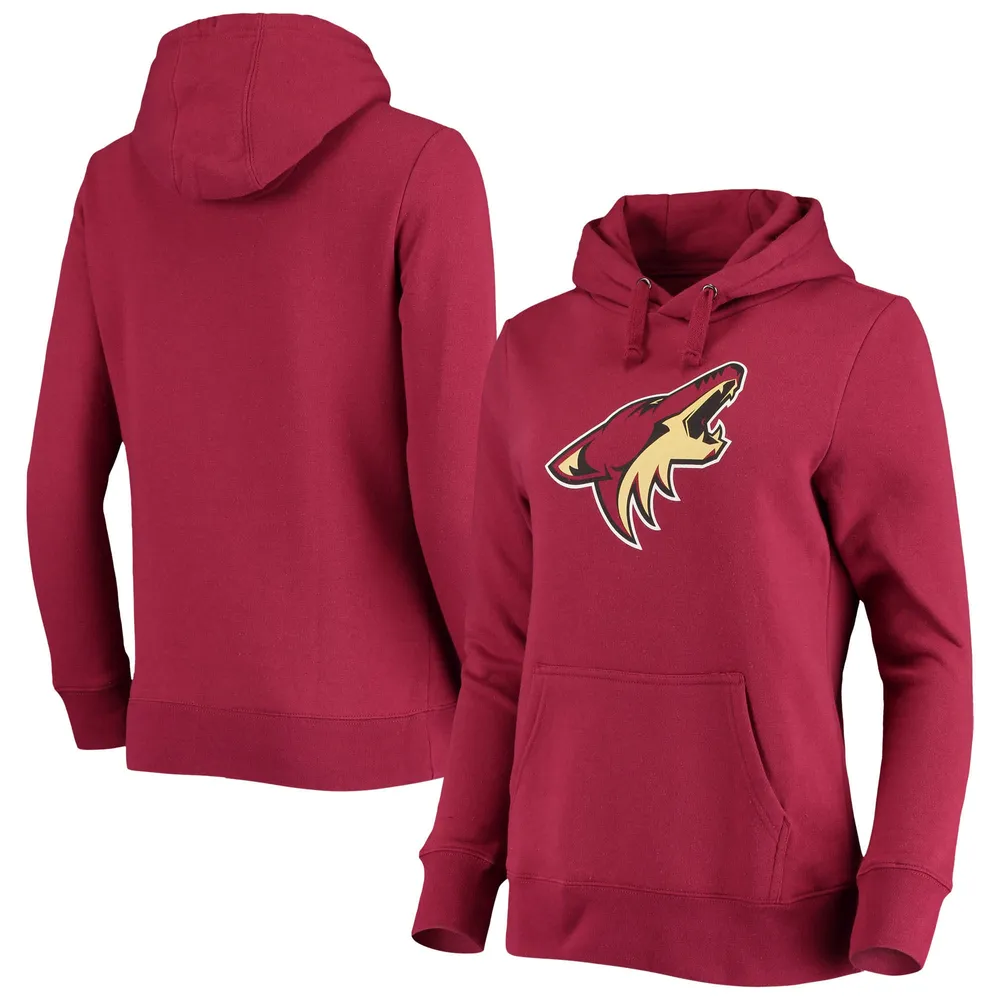 Men's Fanatics Branded Black Arizona Coyotes Authentic Pro Locker Room  Raglan Pullover Hoodie