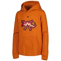 Youth Orange Arizona Coyotes Special Edition 2.0 Secondary Logo Fleece Pullover Hoodie