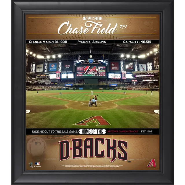 Chicago Cubs Framed 15 x 17 Welcome to the Ballpark Collage