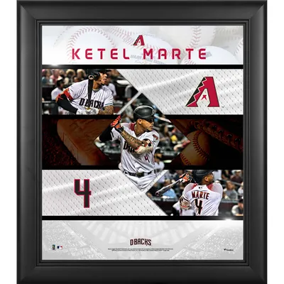 Arizona Cardinals Larry Fitzgerald Fanatics Authentic Framed 15 x 17  Player Collage with a Piece of Game-Used Football