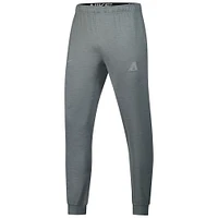 Men's Nike  Heather Gray Arizona Diamondbacks Travel Performance Pants