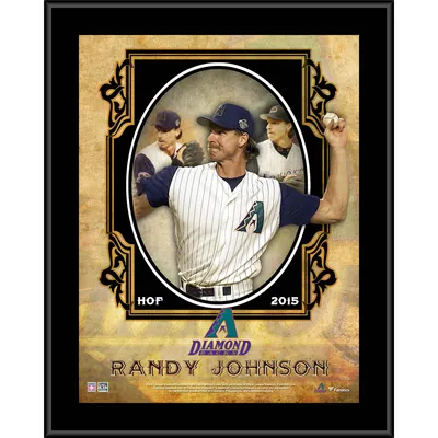 Lids Randy Johnson Arizona Diamondbacks Fanatics Authentic 12 x 15 Hall  of Fame Career Profile Sublimated Plaque