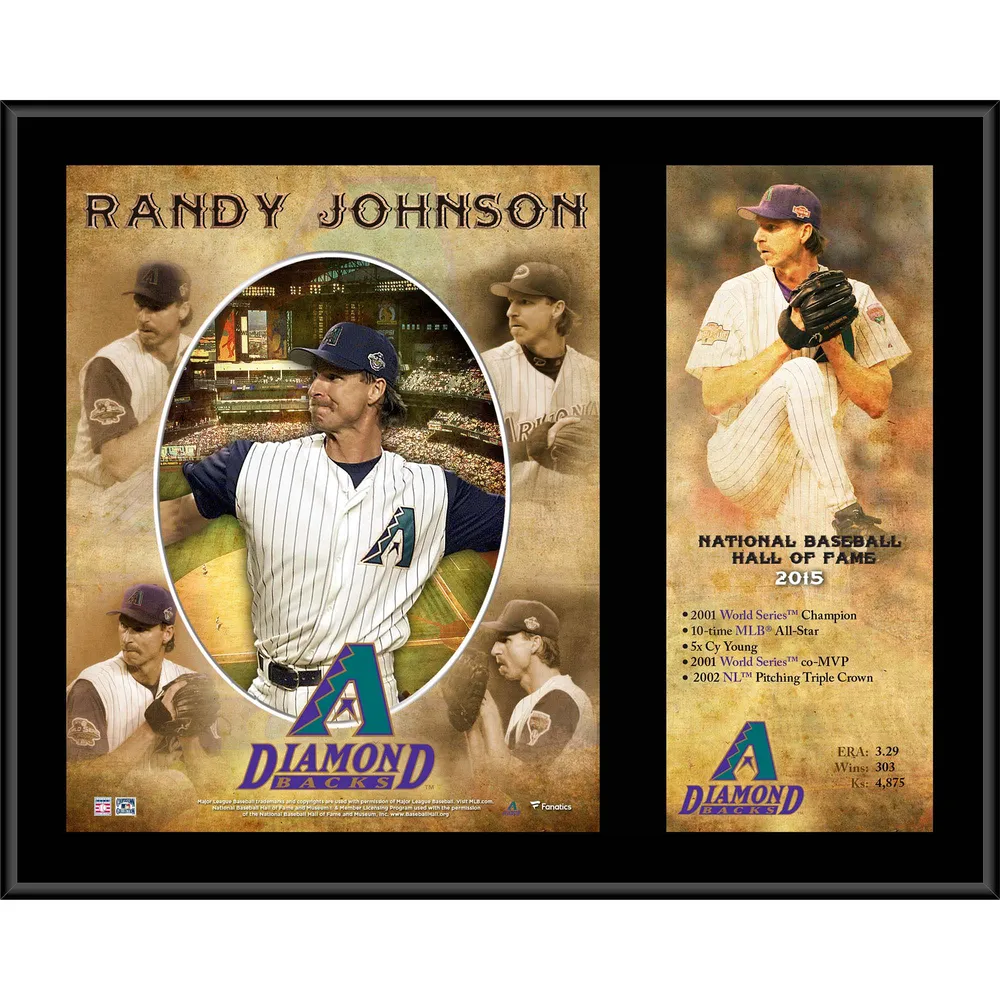 Lids Randy Johnson Arizona Diamondbacks Fanatics Authentic 12 x 15 Hall  of Fame Career Profile Sublimated Plaque