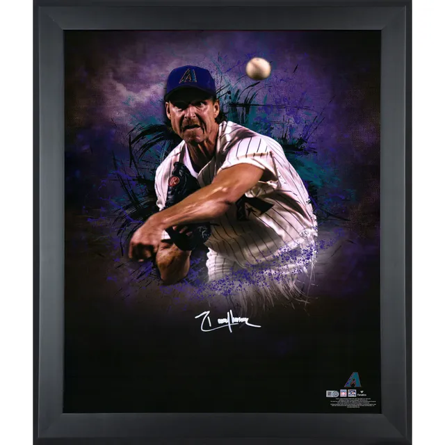 Randy Johnson Arizona Diamondbacks Autographed Perfect Game