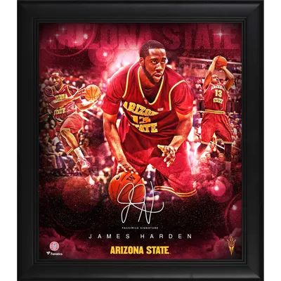 Lids LeBron James Fanatics Authentic Framed 15 x 17 NBA All-Time