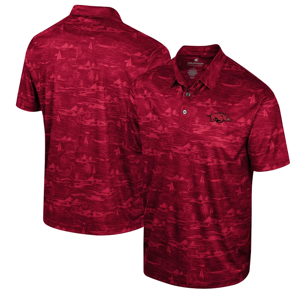 Polo imprimé Daly Colosseum Cardinal Arkansas Razorbacks pour hommes