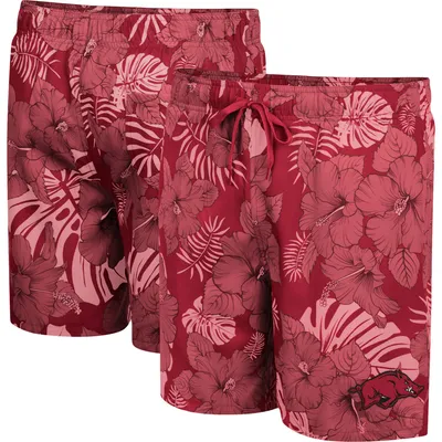 Arkansas Razorbacks Colosseum The Dude Swim Shorts - Cardinal