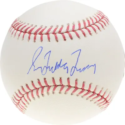 Greg Maddux Chicago Cubs Fanatics Authentic Autographed 16 x 20 Pitching  Photograph