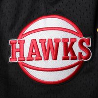 Men's Pro Standard Black Atlanta Hawks Mesh Capsule Shorts