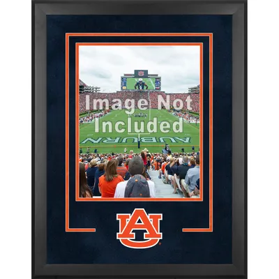 Detroit Tigers Fanatics Authentic 16 x 20 Deluxe Horizontal